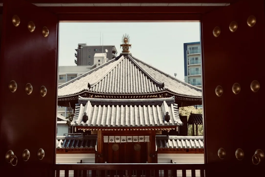 C316DC6A-106E-494C-9926-6F5ED52B11E3_1_105_c.jpeg