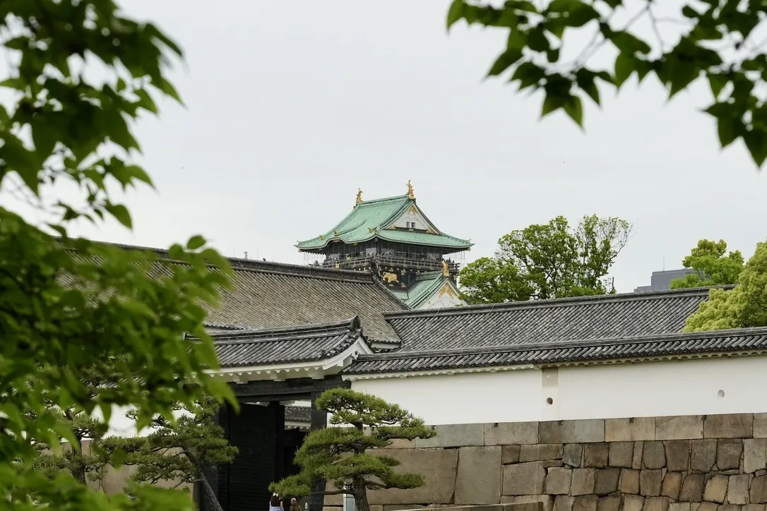 FDCCBE76-D57A-4EC6-8D79-D19D9066390F_1_105_c.jpeg
