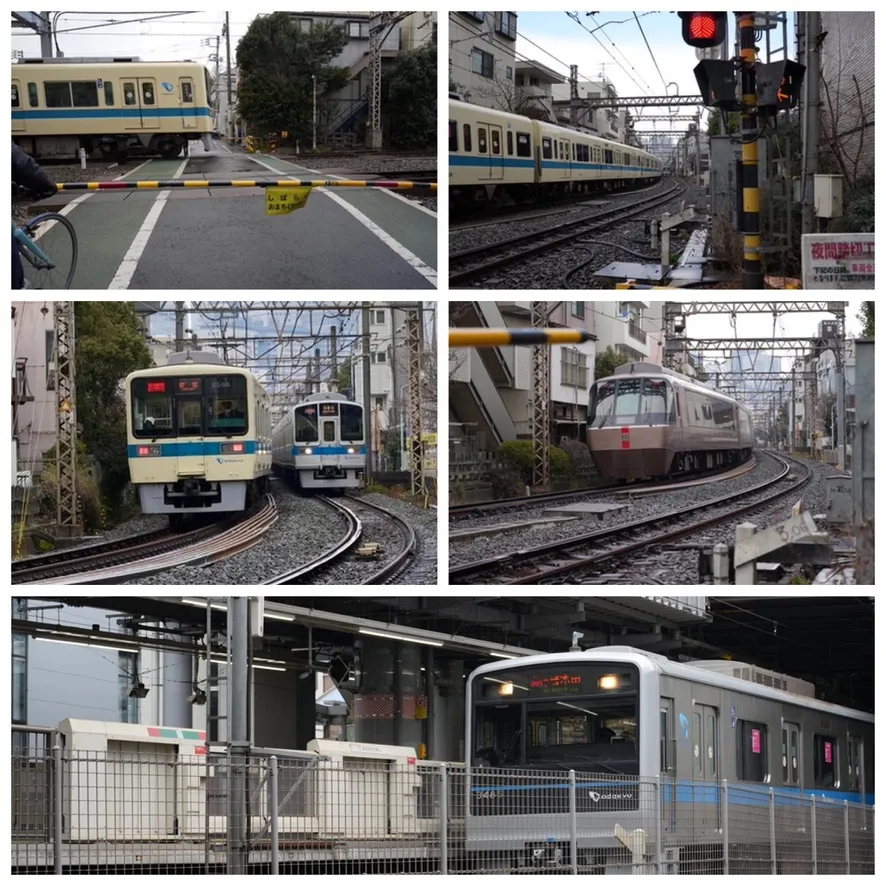 AC512F99-C8C0-418B-A4AA-0057AE8E7ADE_1_105_c.jpeg