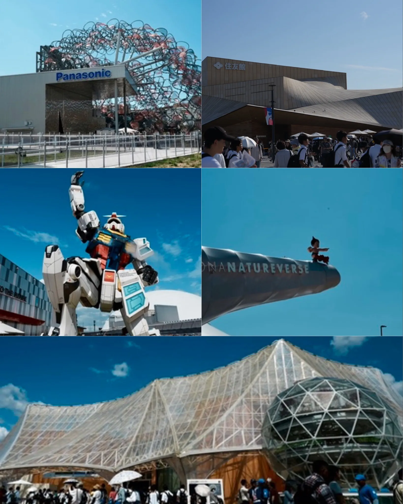 6D3CEFDA-A49C-4516-B56A-5D79C81365CB.jpeg