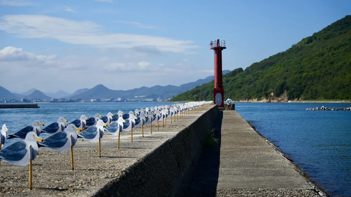1B02137D-4C4C-4896-A2F6-1E6256D98A8A_1_105_c.jpeg