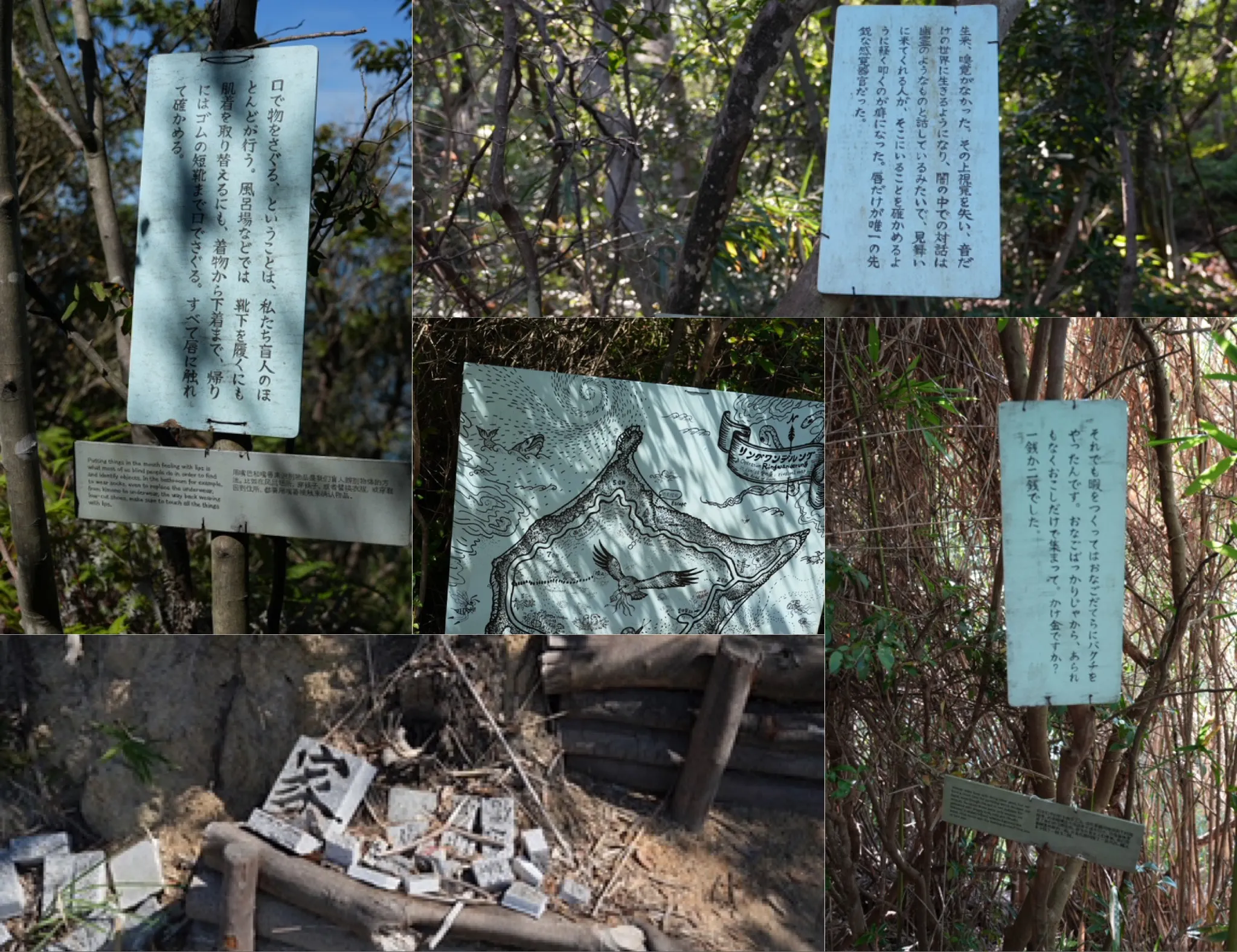 6B26A50D-C3AC-4E85-8EA2-1D4D789C71A2.jpeg