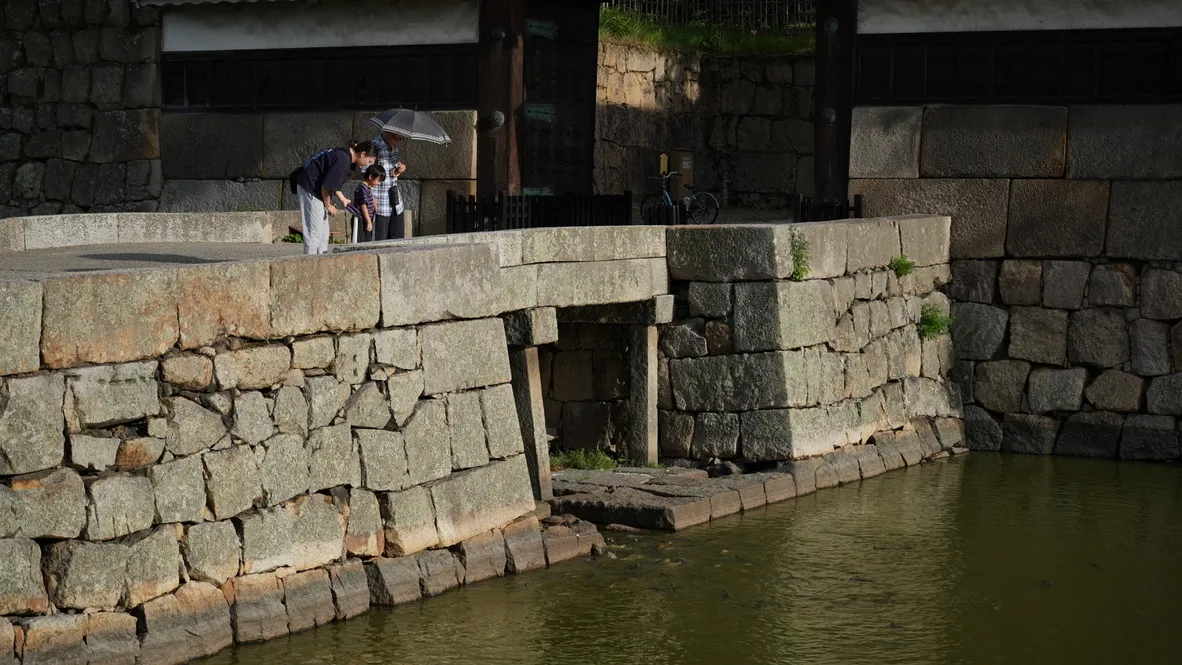 86615A29-ABBE-4800-A32F-0516B93F6F73_1_105_c.jpeg