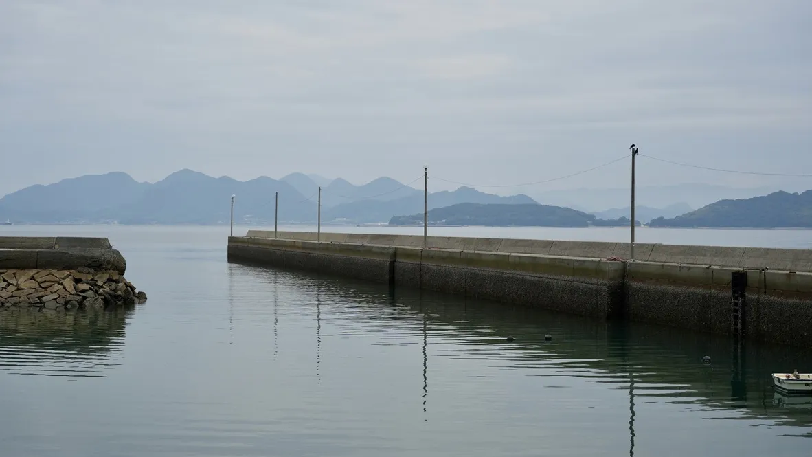 E2D763E1-F2BF-4854-A3AE-10D954664EE1_1_105_c.jpeg