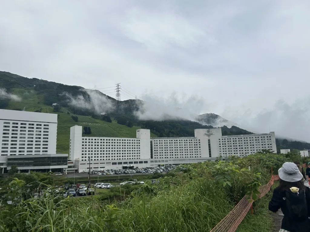 920CB2CF-60B6-4DFC-A4F4-CFEDD2876291_1_105_c.jpeg